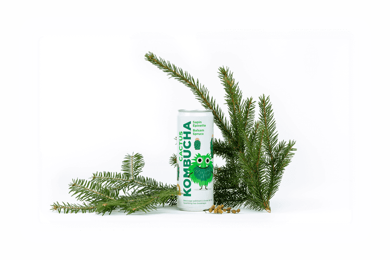 Sapin Épinette